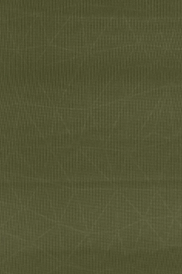 Коврик самонадувающийся Sea to Summit Self Inflating Camp Plus Mat 75 mm, Rectangular Regular Wide, Moss, 183x64x7.5 см (STS AMSICAPLRRW)