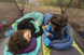 Килимок надувний Sea to Summit Comfort Light Insulated Mat, 168х55х6.3 см, Carribean (STS AMCLINS_WR)