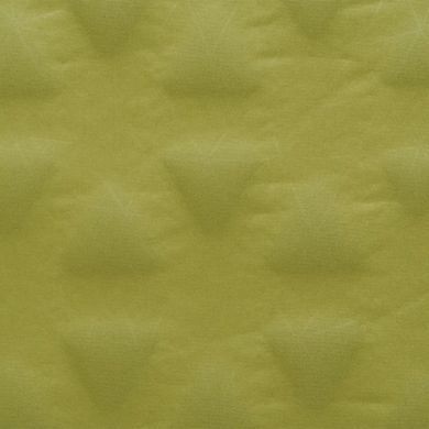 Коврик самонадувающийся Sea to Summit Camp Mat, 198х64х3.8 см, Olive (STS AMSICML)