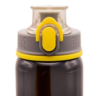 Пляшка для води тританова Tramp Tritan 0,75 л UTRC-289 Сіра