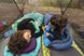 Коврик самонадувающийся Sea to Summit Comfort Light Mat, 170х53х5 см, Aegean (STS AMSICLWR)
