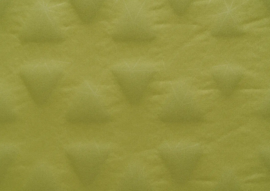 Коврик самонадувающийся Sea to Summit Camp Mat, 183х51х3.8 см, Olive (STS AMSICMR)