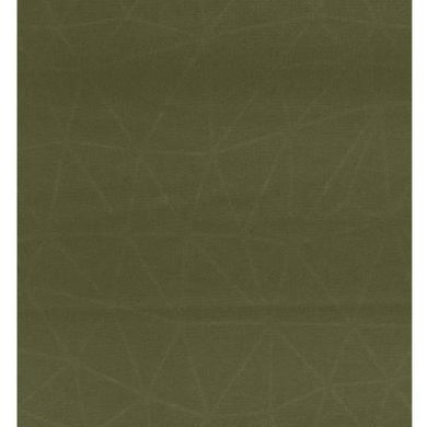 Коврик самонадувающийся Sea to Summit Self Inflating Camp Plus Mat, Moss, Regular, 183x51x7.5 см (STS AMSICAPLR)